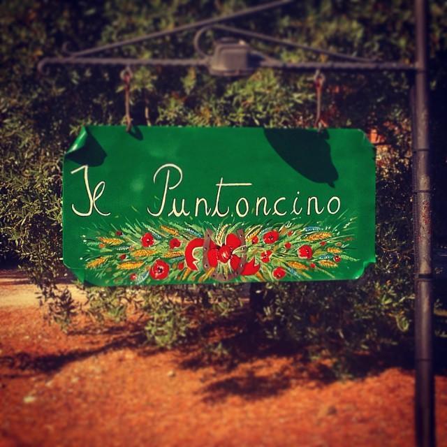 Agriturismo Il Puntoncino 마르실리아나 외부 사진